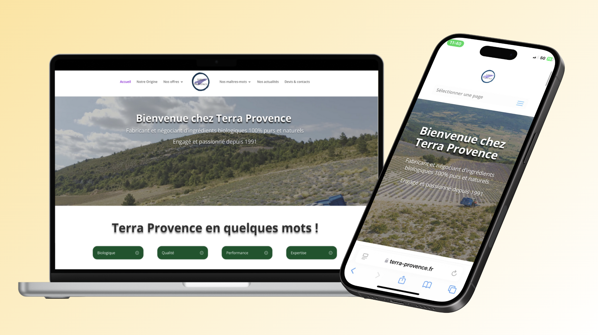 Terra Provence mockup
